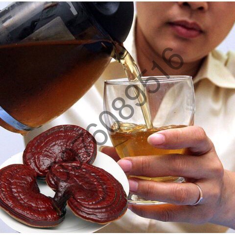 Nấm Hắc Linh Chi Hàn Quốc, Hộp Quà Biếu Sang Trọng