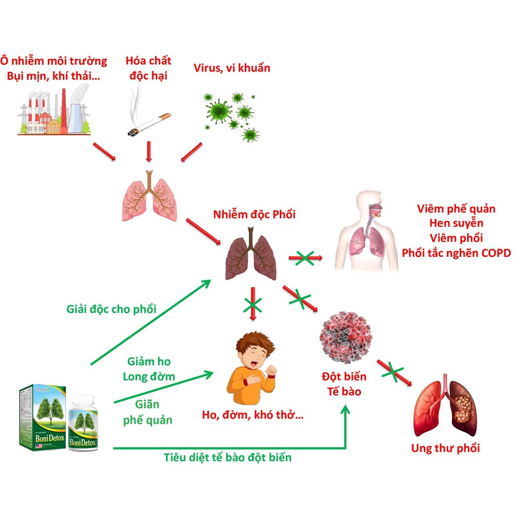 BoniDetox – Tăng cường miễn dịch hệ hô hấp, giảm ho khó thở, hen suyễn, viêm phổi, viêm phế quản Boni Detox