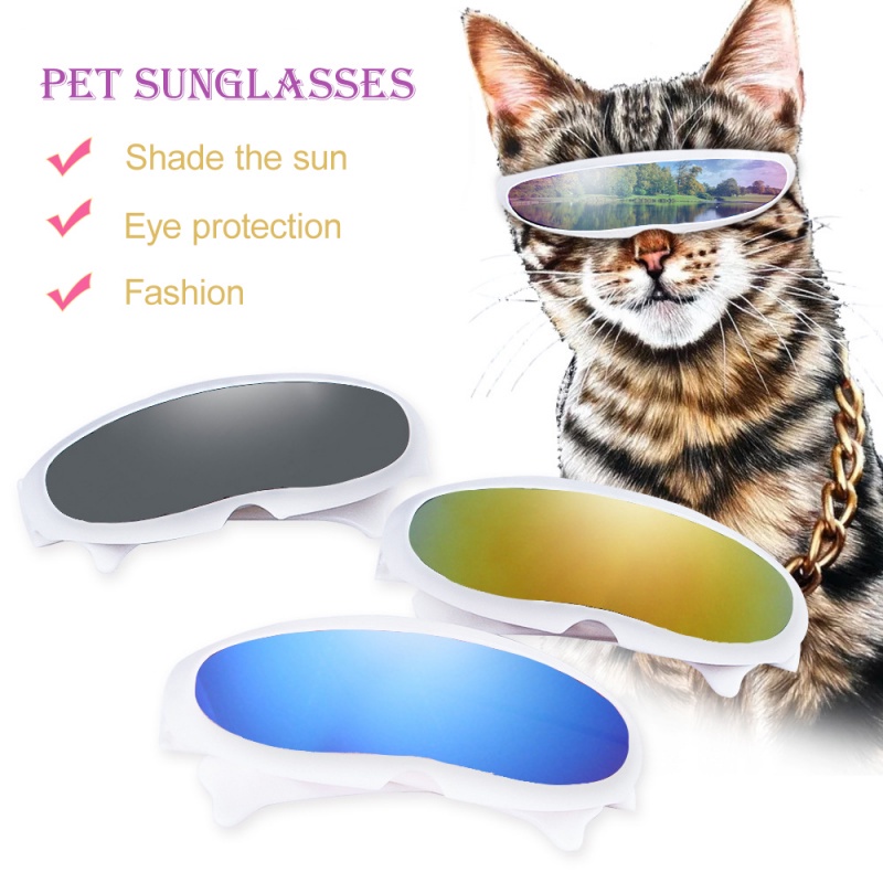 Kính mát cho mèo dễ thương cho trang phục Cosplay thời trang Ins Kitten Kính râm cho mèo Kính mắt cho chó con Phụ kiện thú cưng mát mẻ