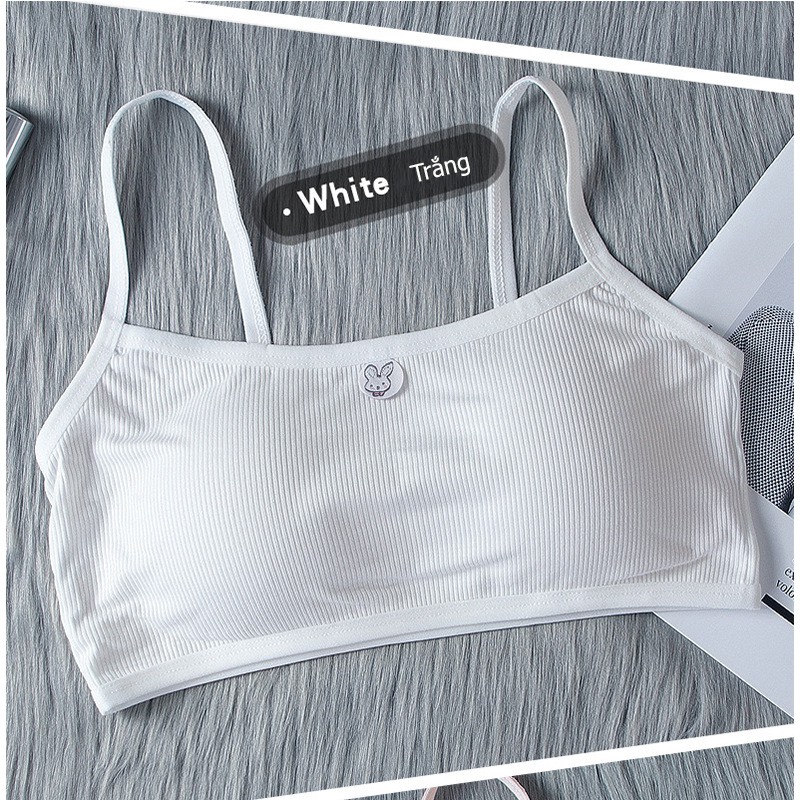 Áo Lá Nữ Học Sinh Cotton Nhiều Màu 6059