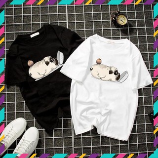 (SALE) Áo thun unisex form rộng chó pug dễ thương vải dày mịn 2019T2106