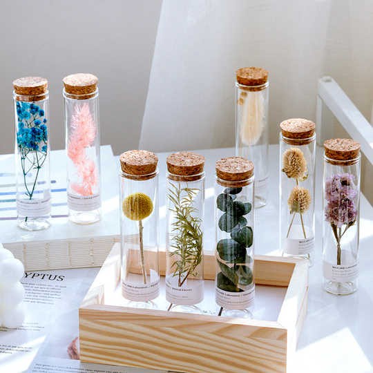 Lọ Hoa Khô Thủy Tinh Nút Bần Decor Trang Trí, quà tặng xinh