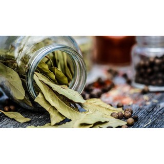 Lá Nguyệt Quế Khô Bay Leaf 100gr