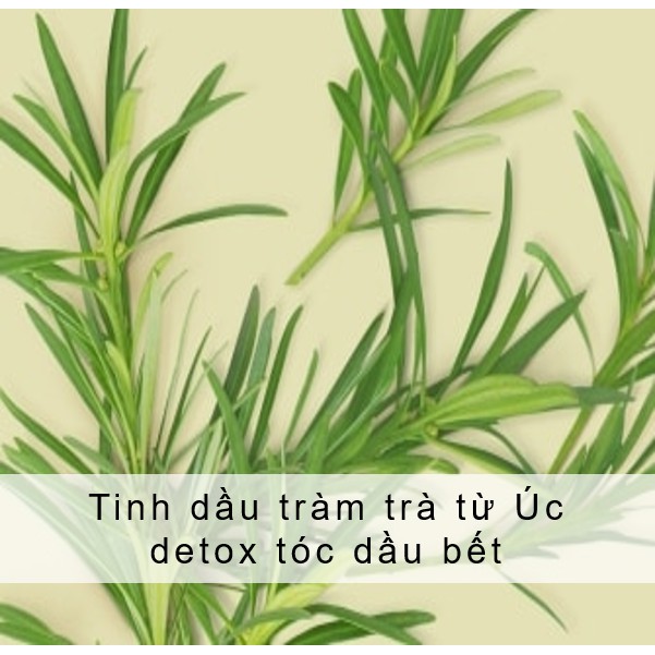 Combo dầu gội xả LBP detox sạch sâu với 100% tinh dầu tràm trà Úc và hương cỏ vetiver 400ml