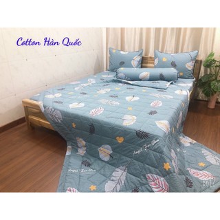 Drap cotton hàn quốc( bộ 4 món, 1 drap, 2 áo nằm, 1 áo ôm)