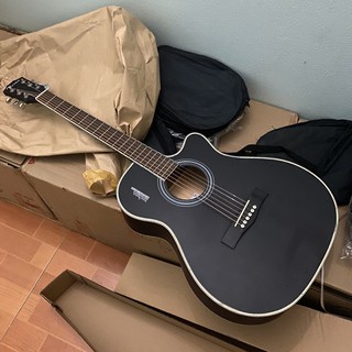Guitar Rosen G11