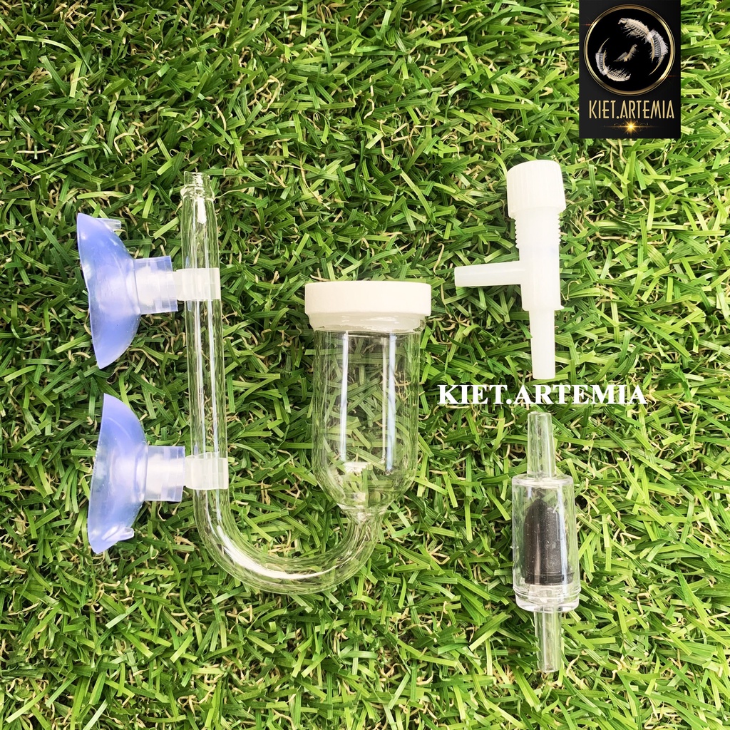 Cốc Sủi Oxy Siêu Mịn Bằng Thuỷ Tinh - Cốc Sủi Oxi Nano
