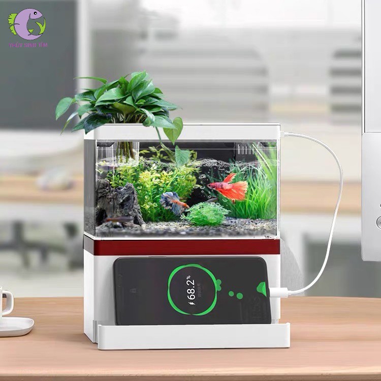 Bể Cá Mini Fish Tank GEBO Để Bàn Làm Việc, Bàn Học