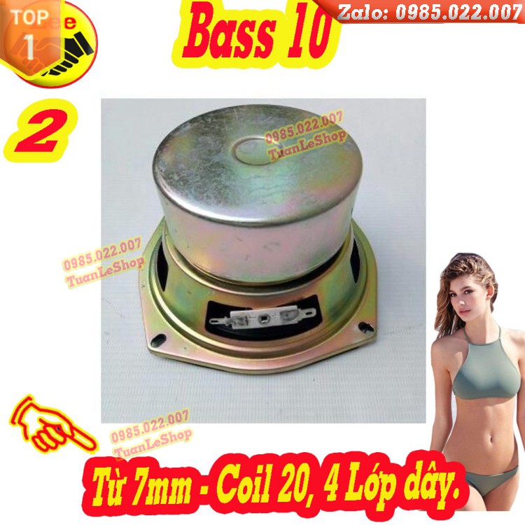 1 CỦ LOA BASS 10 LOA VI TÍNH – GIÁ 1 CHIẾC