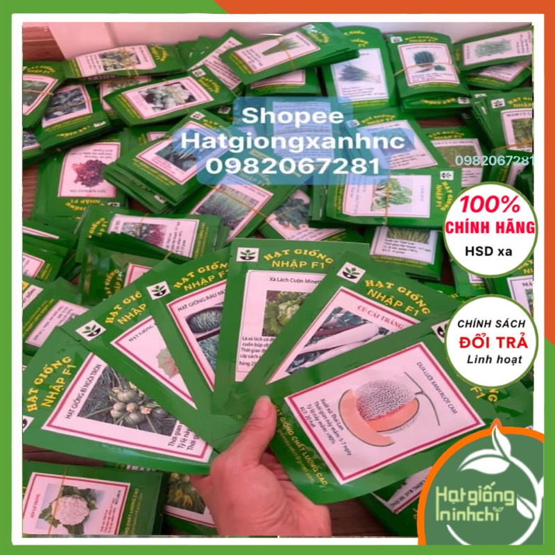 Hạt giống rau muống nước cao sản siêu ngọn thái lan, gói 30gram, Rau củ quả trồng ban công, sân thượng, thùng xốp.