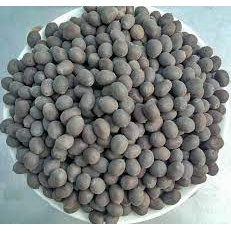 1 kg Hạt giống hoa sen