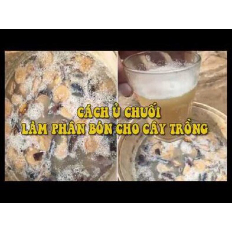 GE Chuối - thần dược cho cây trồng 500ml ( nguyên chất )