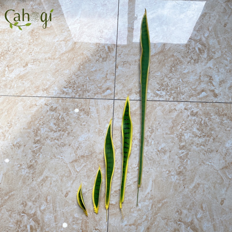 Cây Giả Trang Trí - Lá Lưỡi Hổ Nhựa