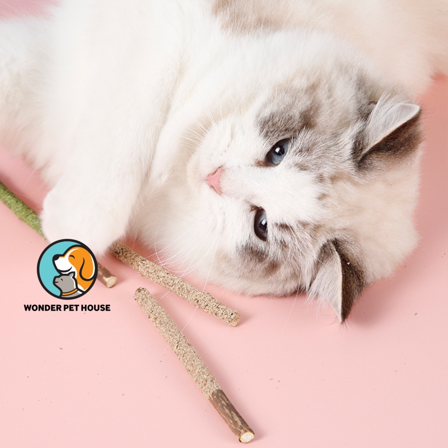 Thanh que gỗ Sticky catnip vị matcha, sữa giảm stress làm sạch răng cho mèo