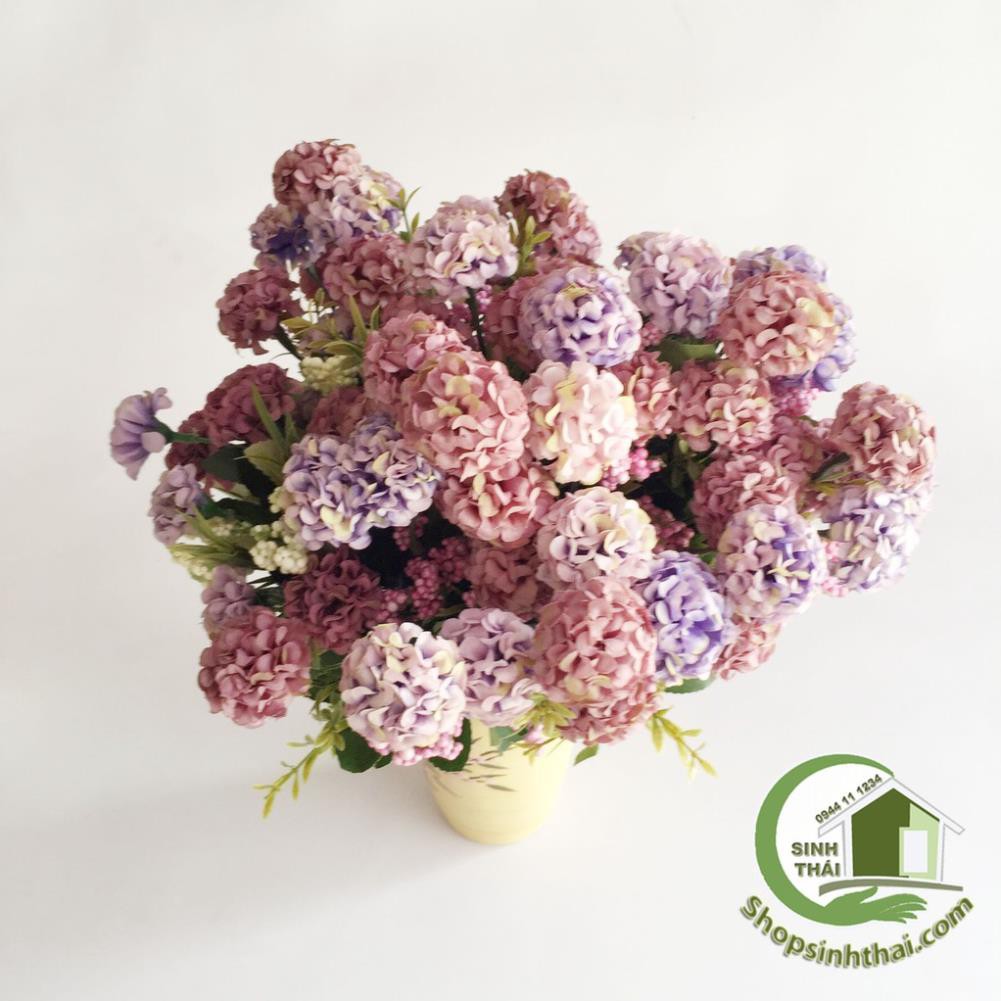 Bụi hoa cẩm túc cầu mini màu tím