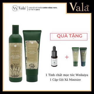 Bộ Dầu Gội Weilaiya Mọc Tóc Ngăn Rụng Tóc Tinh Chất Gừng Kết Hợp Hà Thủ Ô Cao Cấp- Sản Phẩm Chính Hãng