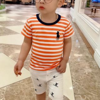 Combo 3 áo kẻ sz 1-7.