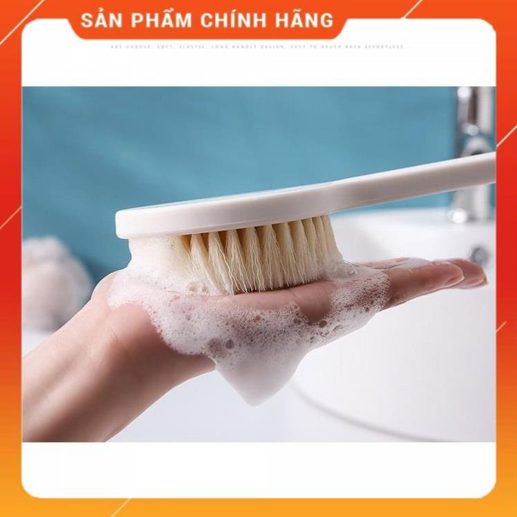 Cây Cọ Lưng Tắm Lông Mềm