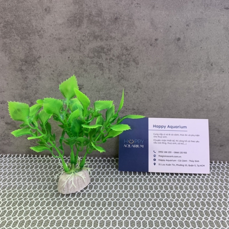 Cây rong nhựa trang trí bể cá 5k/cây