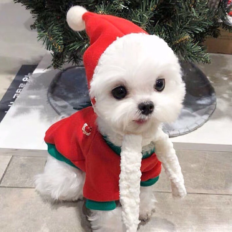 [Có sẵn] Đầm/Áo thun noel kèm nón
