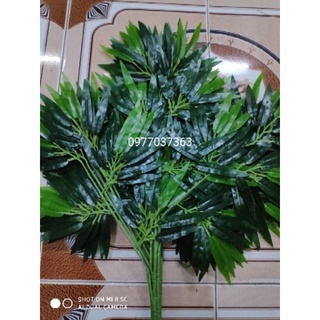 Cây trúc giả