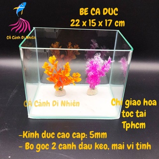 Bể kính đúc mini để bàn 2 cạnh uốn cong, hồ nuôi cá size 22x15x17 cm