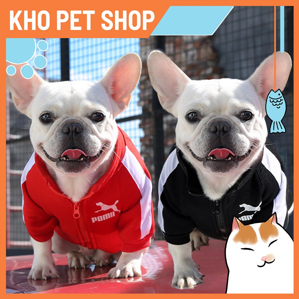 Áo nỉ Pomi cho thú cưng