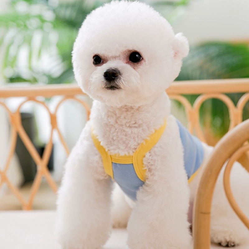 Áo Hai Dây Mỏng Thoáng Khí Thời Trang Xuân Hè Cho Thú Cưng