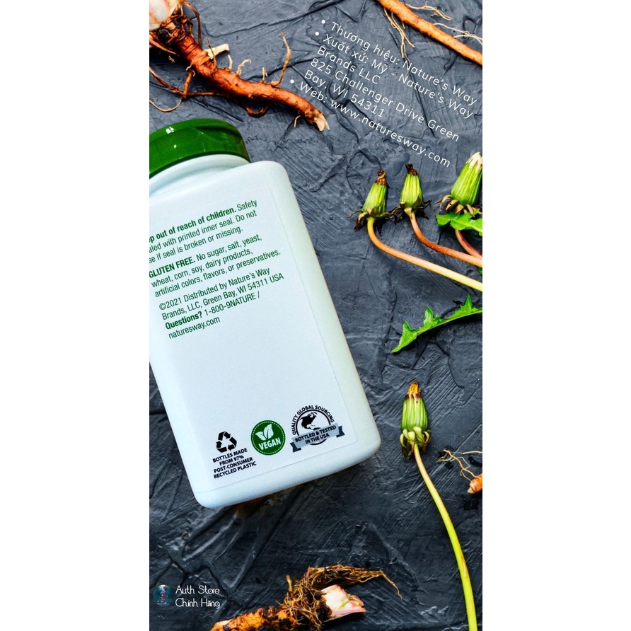 Rễ bồ công anh Dandelion Root Nature’s Way