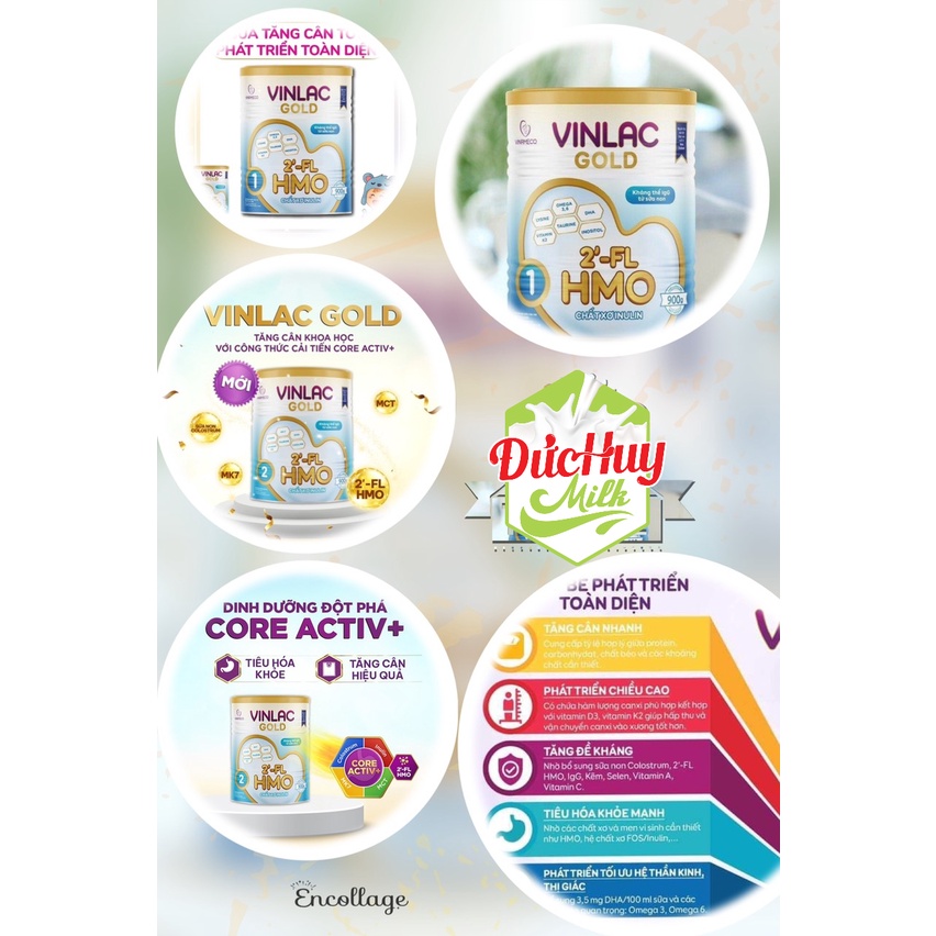 Sữa bột VinLac Gold HMO số 1, 2 Lon 300g_800g_Duchuymilk