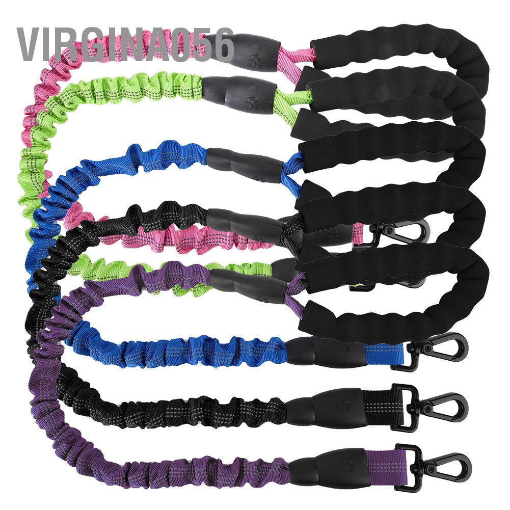 Dây DẫN Thú Cưng Đi DạO 2.46ft