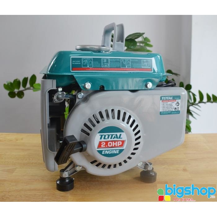 Máy phát điện động cơ xăng Total TP18001 (800W)