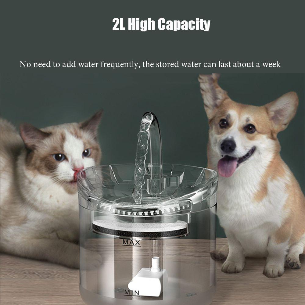 Bình Uống Nước Tự Động Thông Minh Cho Thú Cưng
