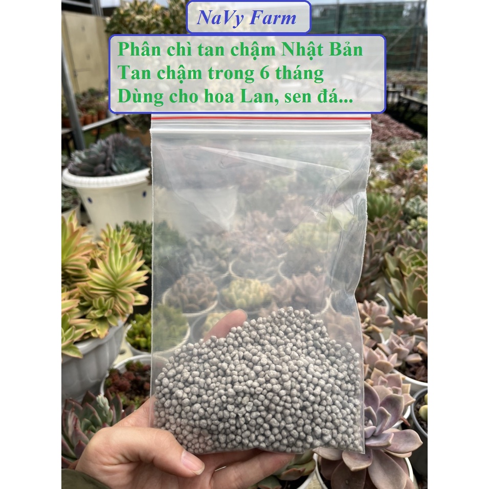 Phân chì tan chậm Nhật Bản, phân bón tan chậm trong 6 tháng dùng cho hoa lan, kiểng lá, sen đá túi 100gr