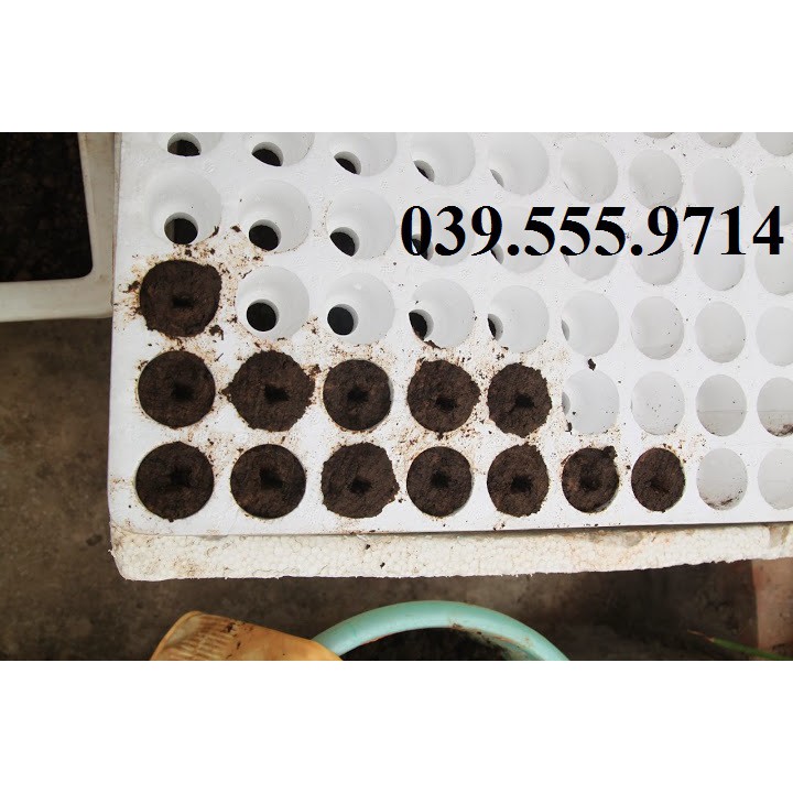 Khay xốp ươm hạt giống hoặc trồng cây thủy canh