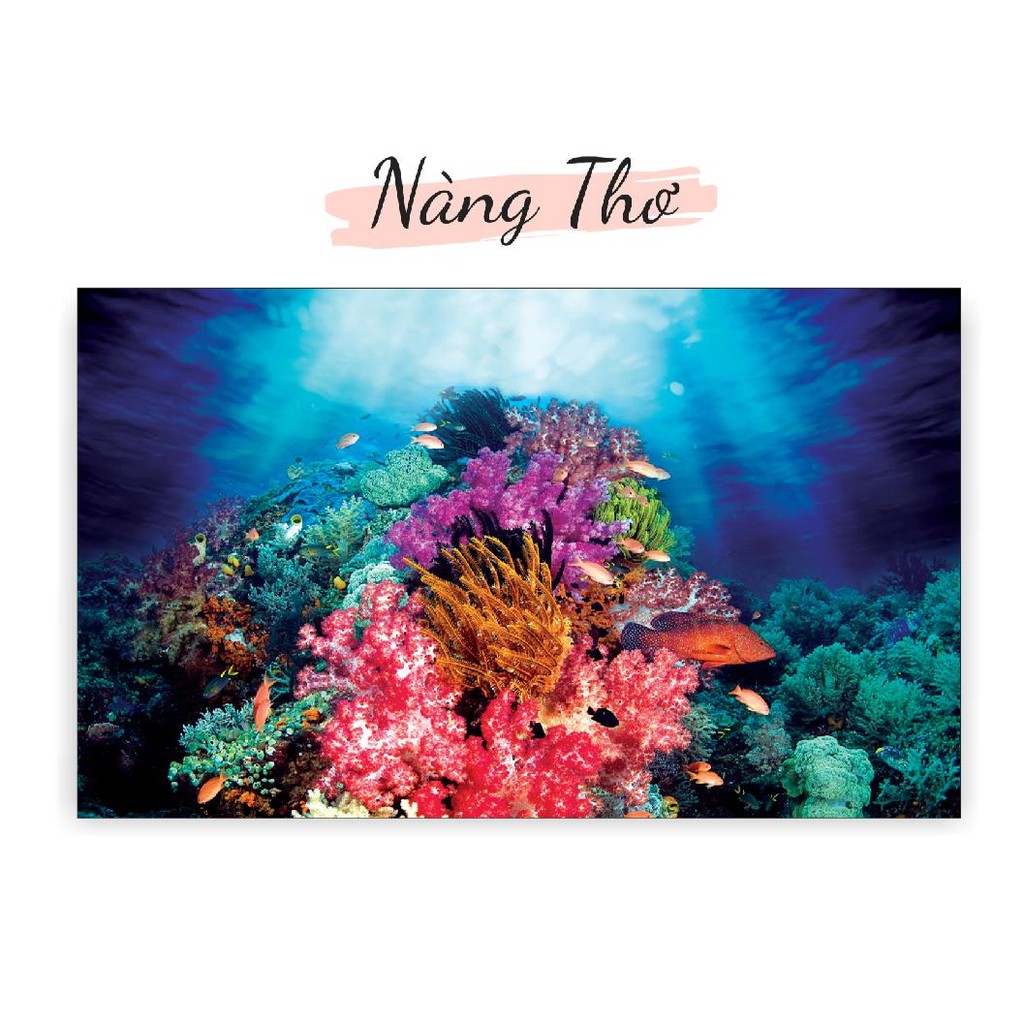 DECAL DÁN HỒ CÁ NHIỀU KÍCH THƯỚC_THIẾT KẾ NÀNG THƠ