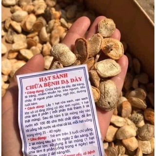 ⚡️10 HẠT SANG( HẠT SÀNH) chuẩn HỖ TRƠ DẠ DÀY TÁ TRÀNG DÂN TỘC HMONG