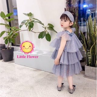 Váy đầm công chúa thiết kế dự tiệc