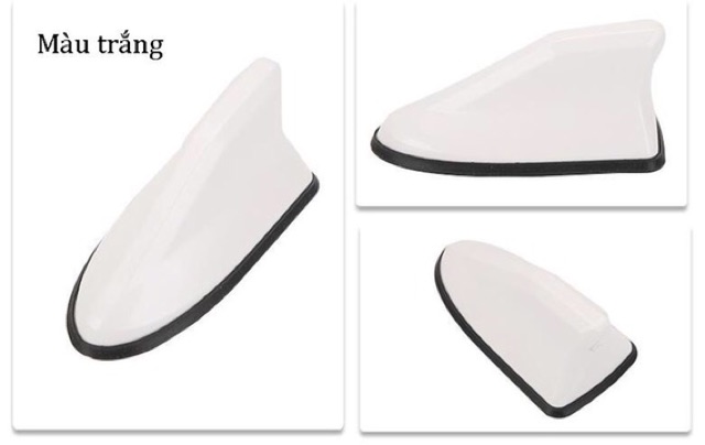 ĂnTen Vây Cá Mập Có Gioăng Trang Trí | BigBuy360 - bigbuy360.vn