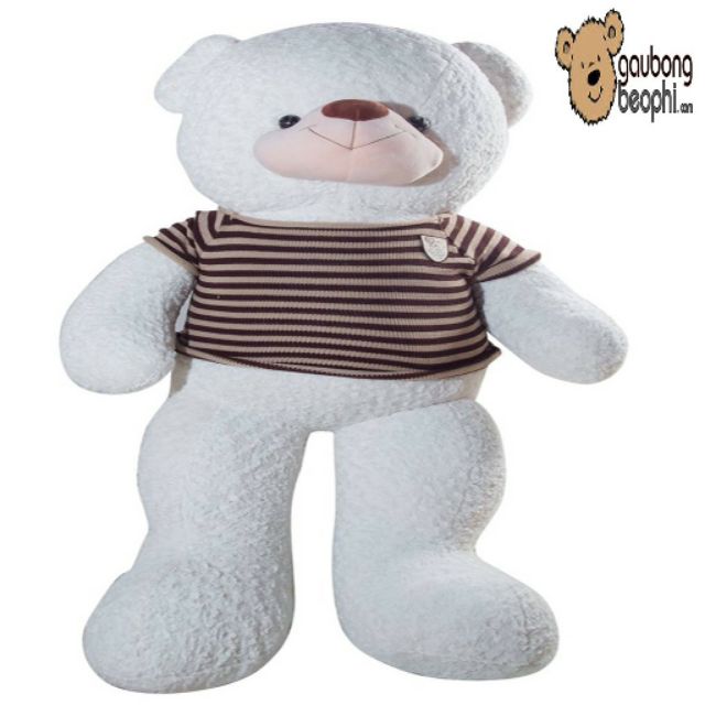 Gấu teddy màu chocolate m5