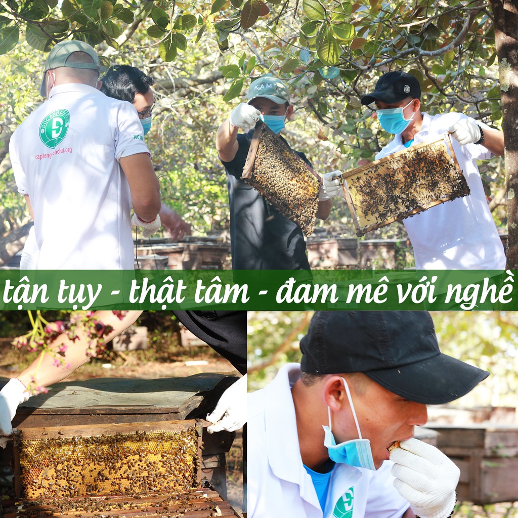 100ml mật ong hoa cà phê nguyên chất Tây Nguyên - Đức Anh honey giá dùng thử