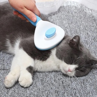 LƯỢC CHẢI LÔNG CHÓ MÈO