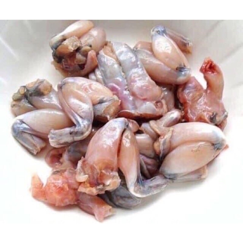 Đùi ếch ngon 500gr💥 GIÁ SỈ 💥thơm ngon chiên nấu