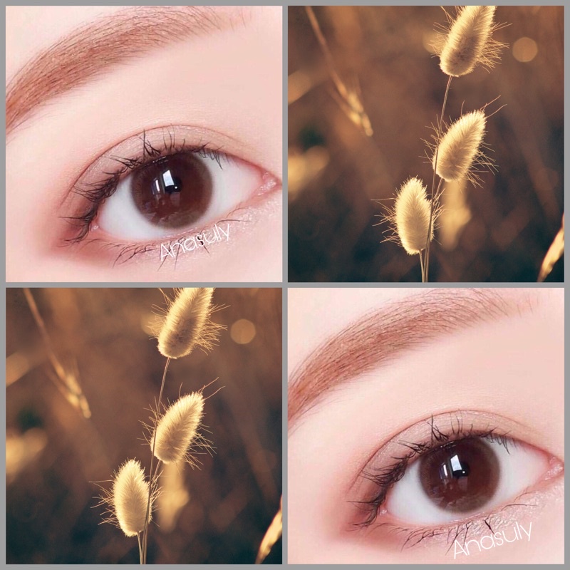 Lens nâu sô-cô-la tự nhiên giãn vừa (dòng Lens sử dụng 12 tháng)