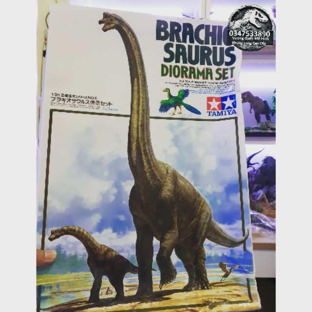 Mô hình khủng long Brachiosaurus bản hoàn thiện hãng Tamiya