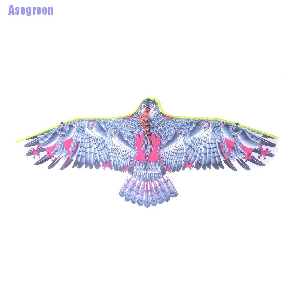 Chú Chim Đại Bàng Cỡ Lớn Độc Đáo