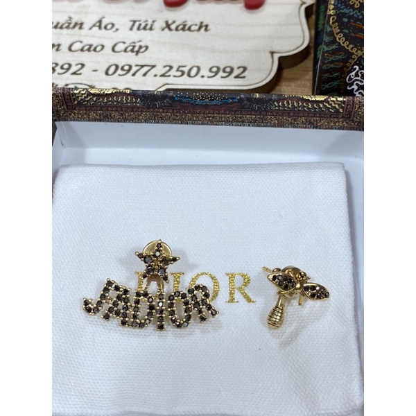 Bông tai cao cấp Dior