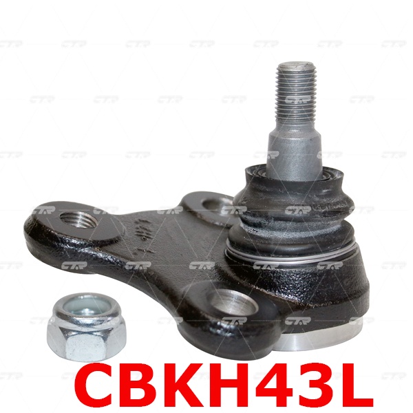 Rotuyn đứng Hyundai Avante,Rô tuyn đứng Hyundai Avante,Rotuyn trụ, Phụ tùng Hyundai Avante -Hàng chí