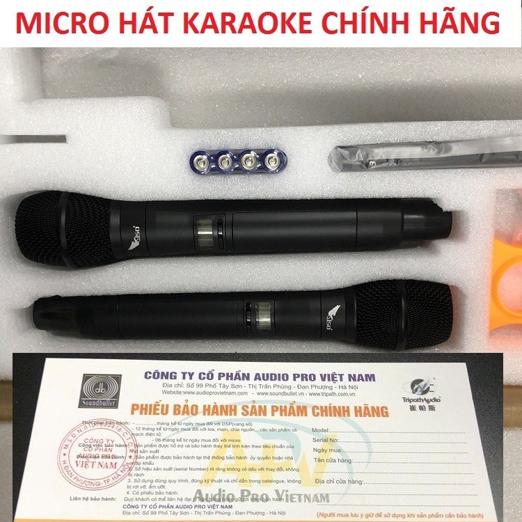 Bộ 2 Mic Wireless UHF, Micro Không Dây Hát Karaoke Chuyên Nghiệp - Nhập Khẩu Chính Hãng Siso