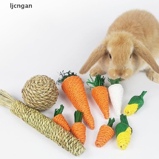 Đồ Chơi Gặm Hình Củ Cà Rốt Mới Cho Thỏ